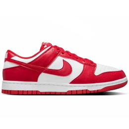 NIKE  PATIKE  DUNK LOW NEXT NATURE ZA ŽENE